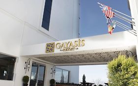 Gayasi̇S Hotel
